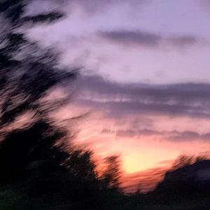 成人性生交大片
