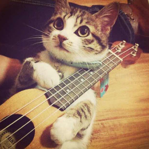 成人性生交大片
